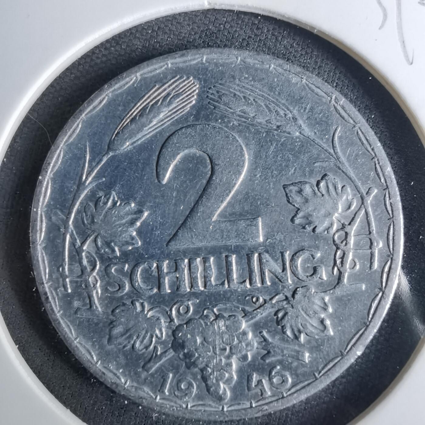 沼泽如烟--第1039场