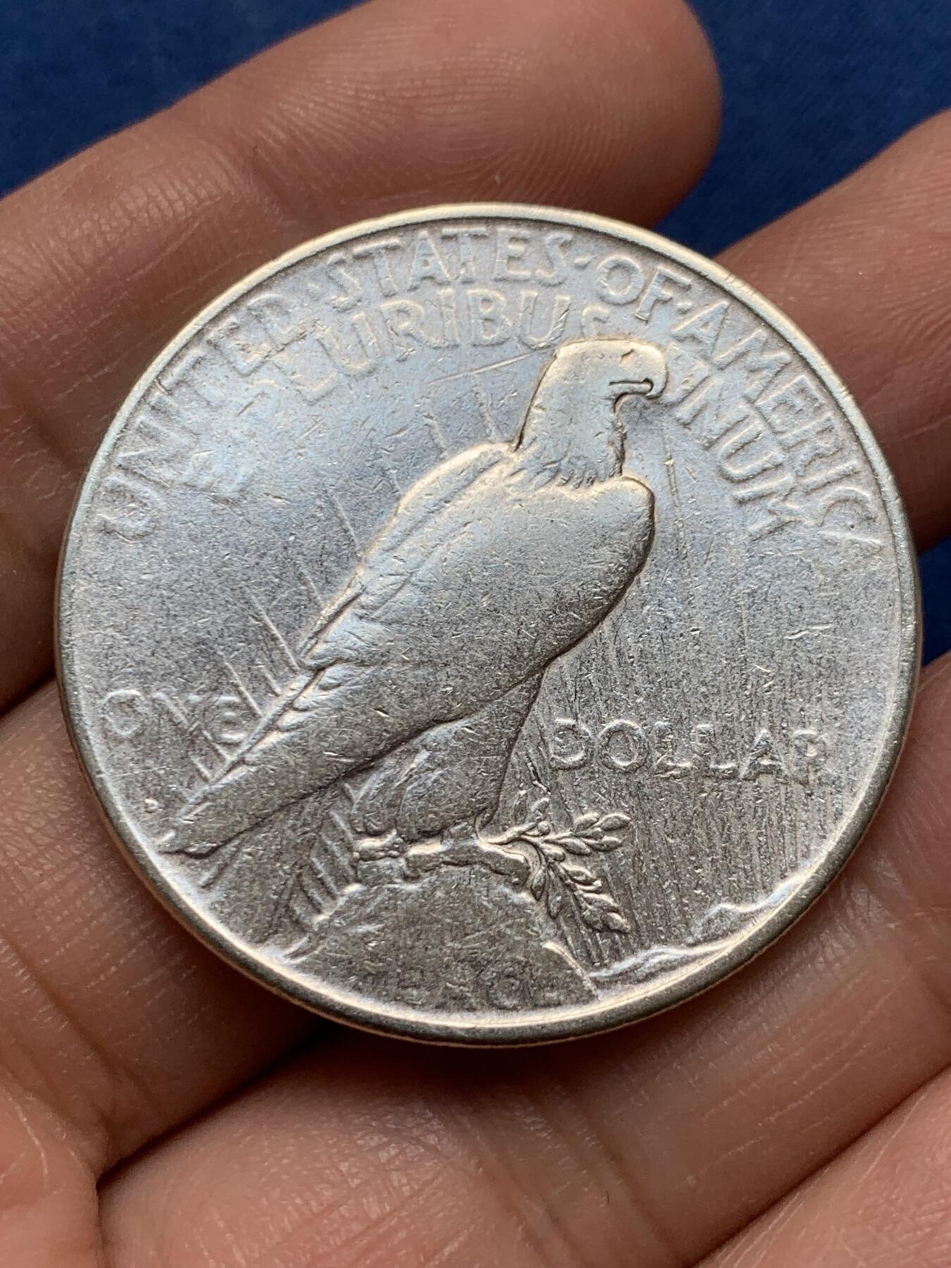 《竞宝斋》第476场 周日，周一 2场连拍 （全场包邮）欢迎送拍 美国1923年和平1美元银币