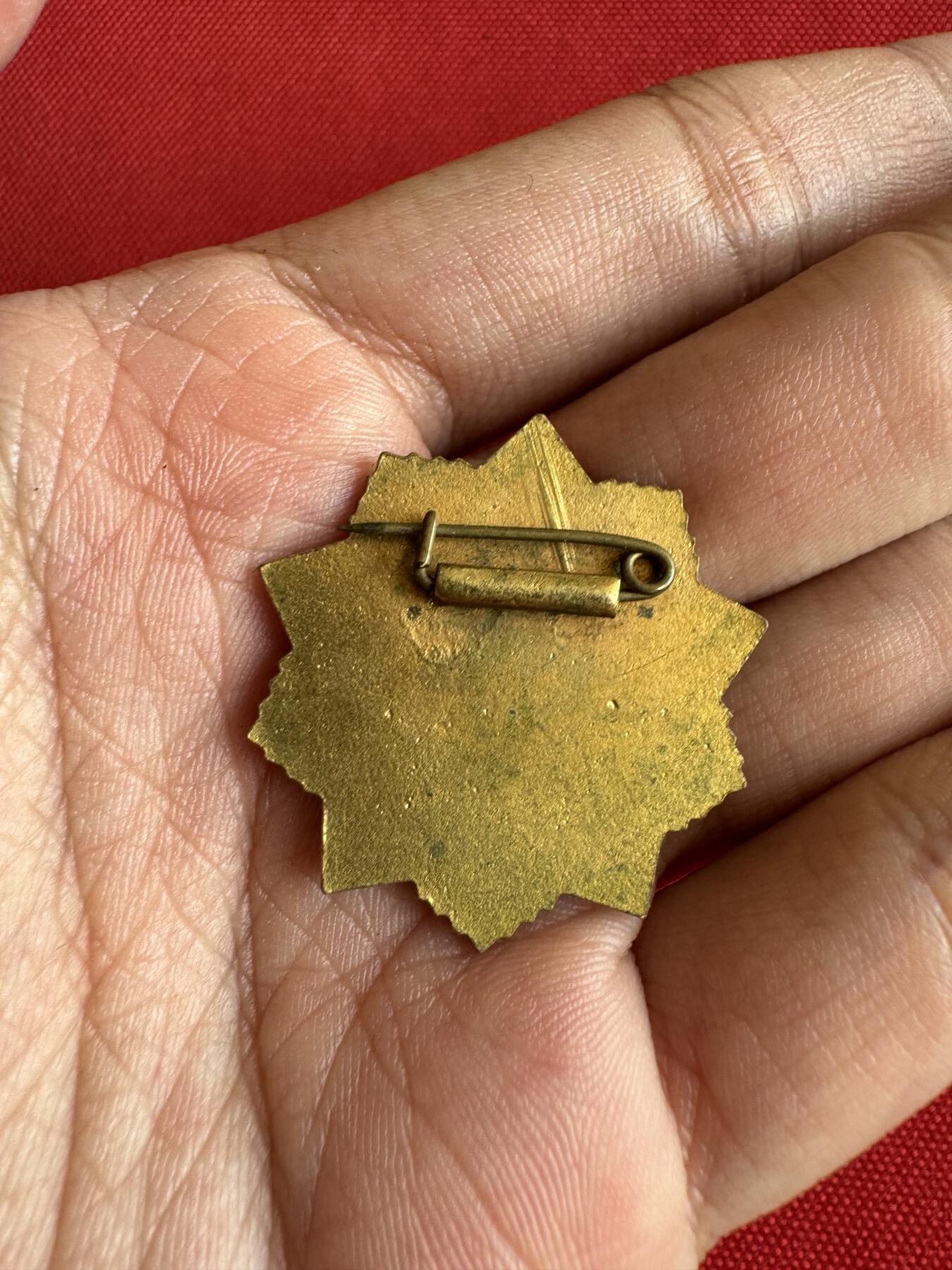 五哥徽章群   31号周二晚上八点4群联拍 铜章