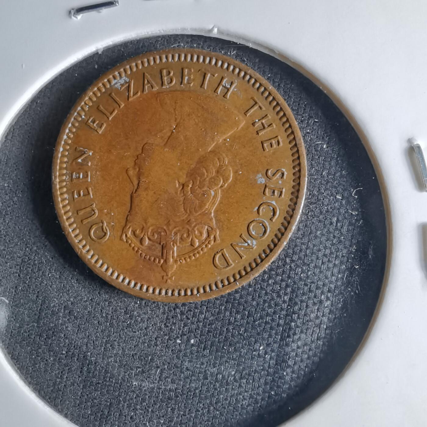 沼泽如烟--第1039场