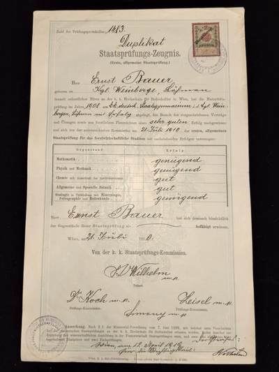 凯旋世界勋赏（第23期）（欢迎送拍）（对拍品有疑问请询问客服，不接受到手刀，出价默认拍品品相。请认真阅读拍卖规则！出价默认已认可！）（收到货请录制开箱视频，无视频概不处理问题。） - 奥匈帝国 1910年 国家考试证书副本 安东·鲍尔之子 恩斯特鲍尔 作为维也纳皇家土地文化大学 的学生，通过了林业科学的国家考试
