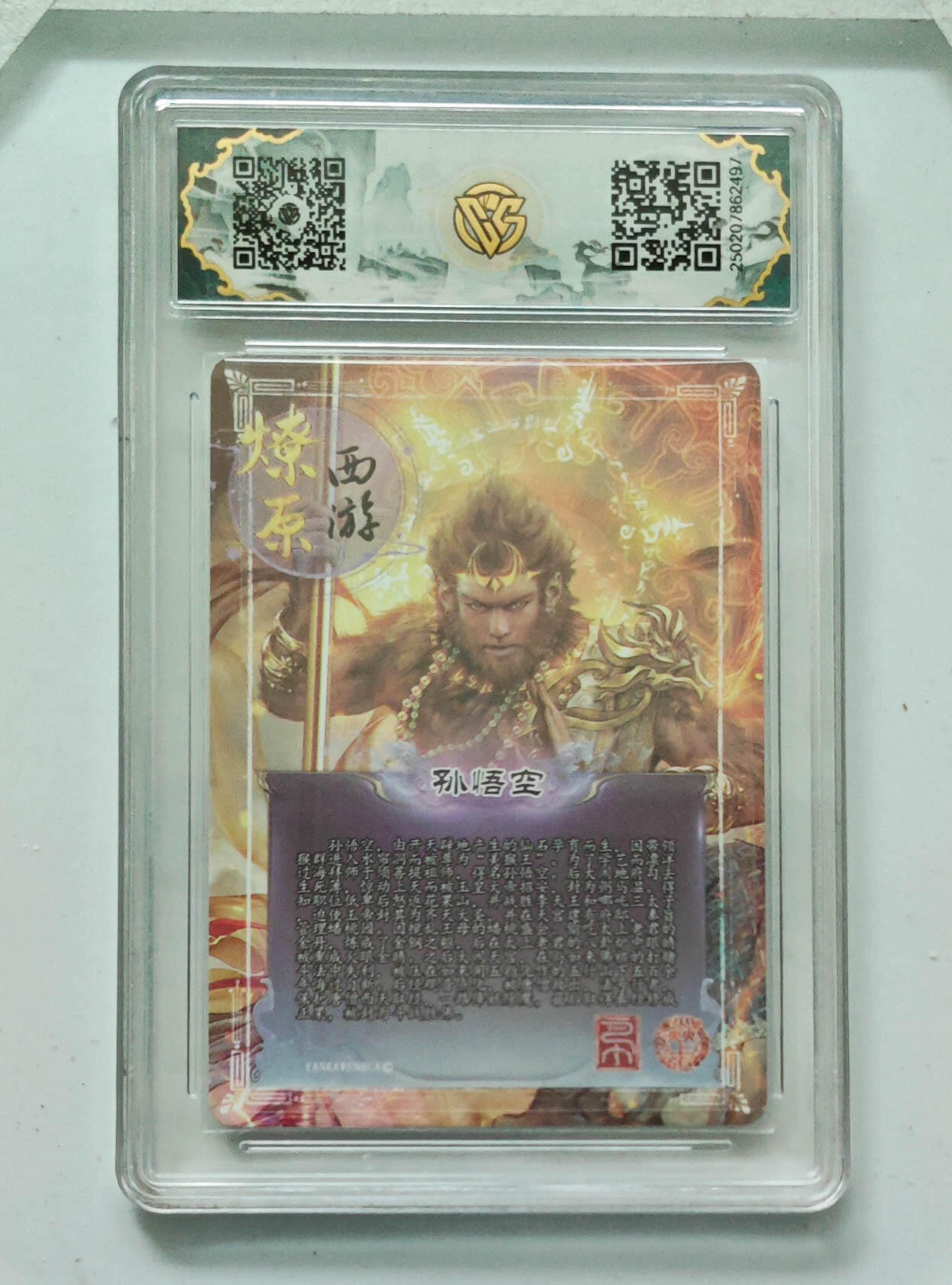 大麦马年第一场