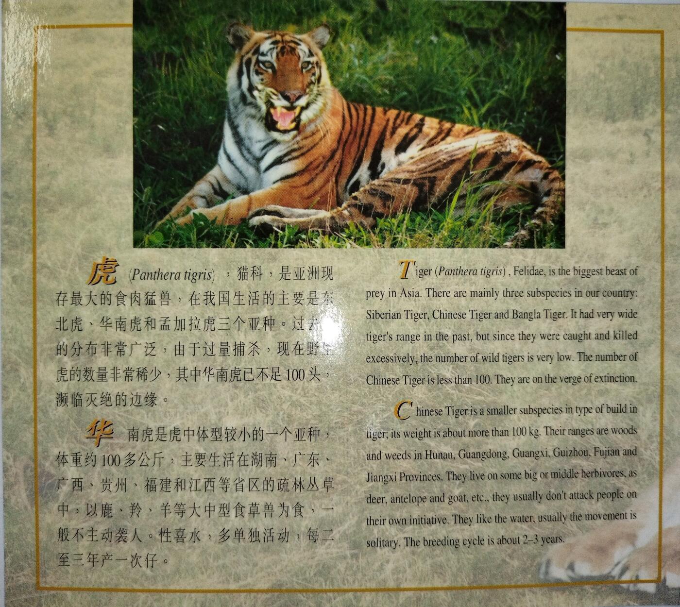 1996年中国人民银行发行中国珍稀野生动物——华南虎纪念币，康银阁装帧卡册，紫铜合金材质，面值5元，直径32mm，厚2.2mm。品相几乎全新，保存很好，图文清晰，适合收藏。按图发货。