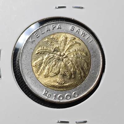 KK钱币收藏小铺  第415期 2月预留时间 周末发货 1996印度尼西亚1000卢比好品