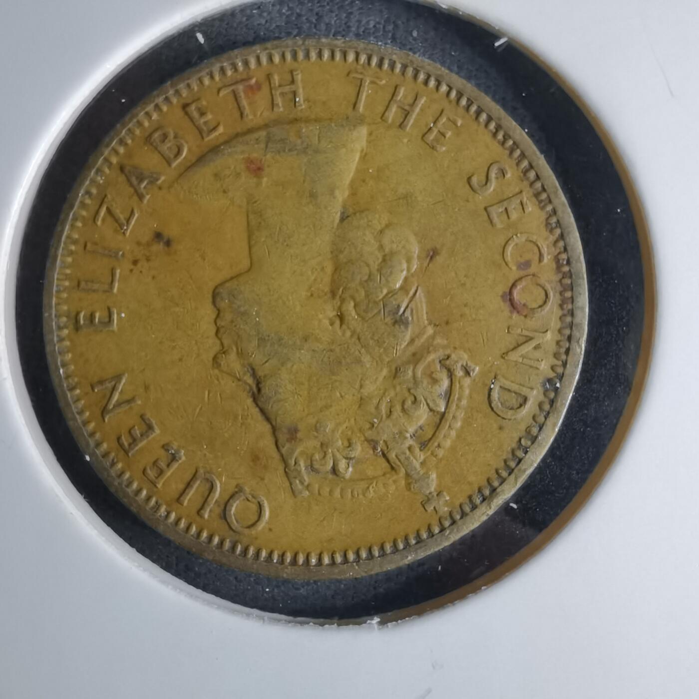 沼泽如烟--第1042场