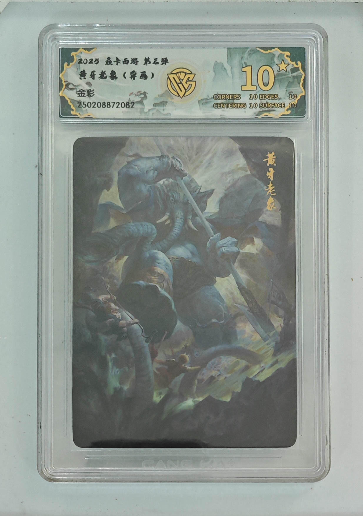 大麦马年第一场