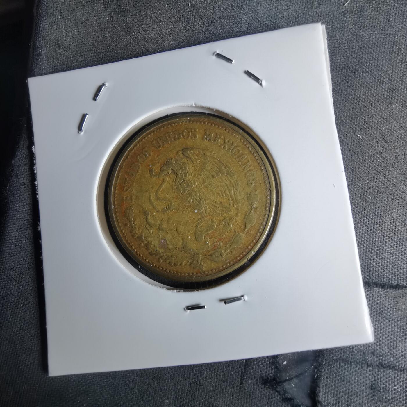 沼泽如烟--第1042场