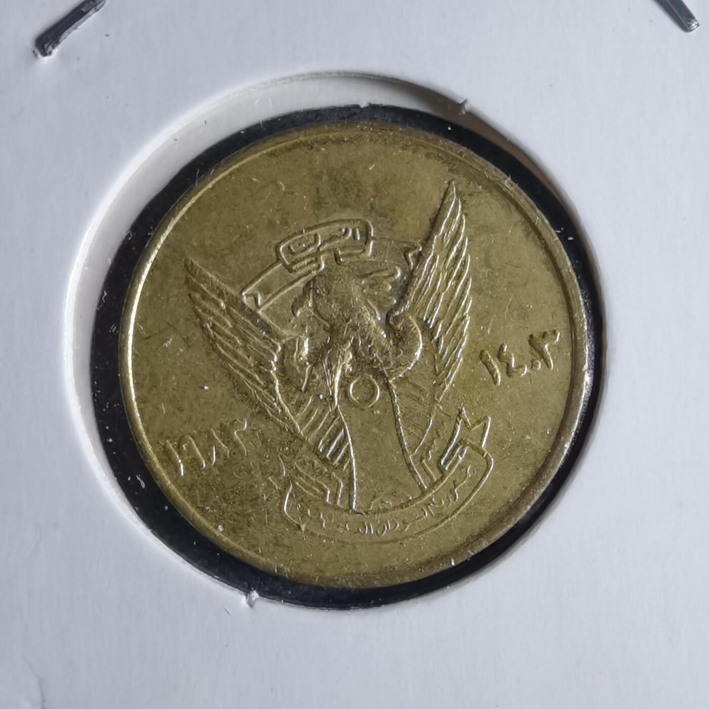 沼泽如烟--第1040场 苏丹