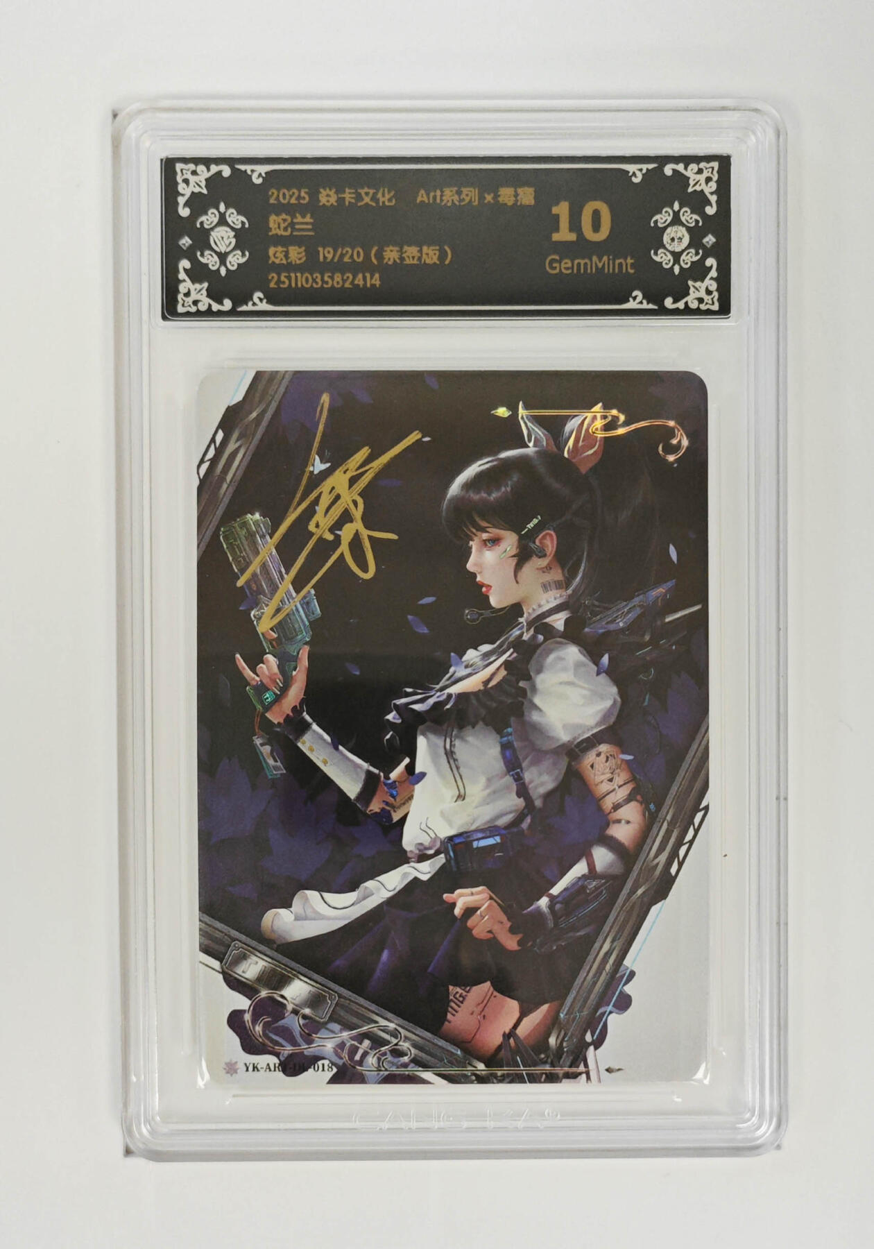 大麦马年第一场