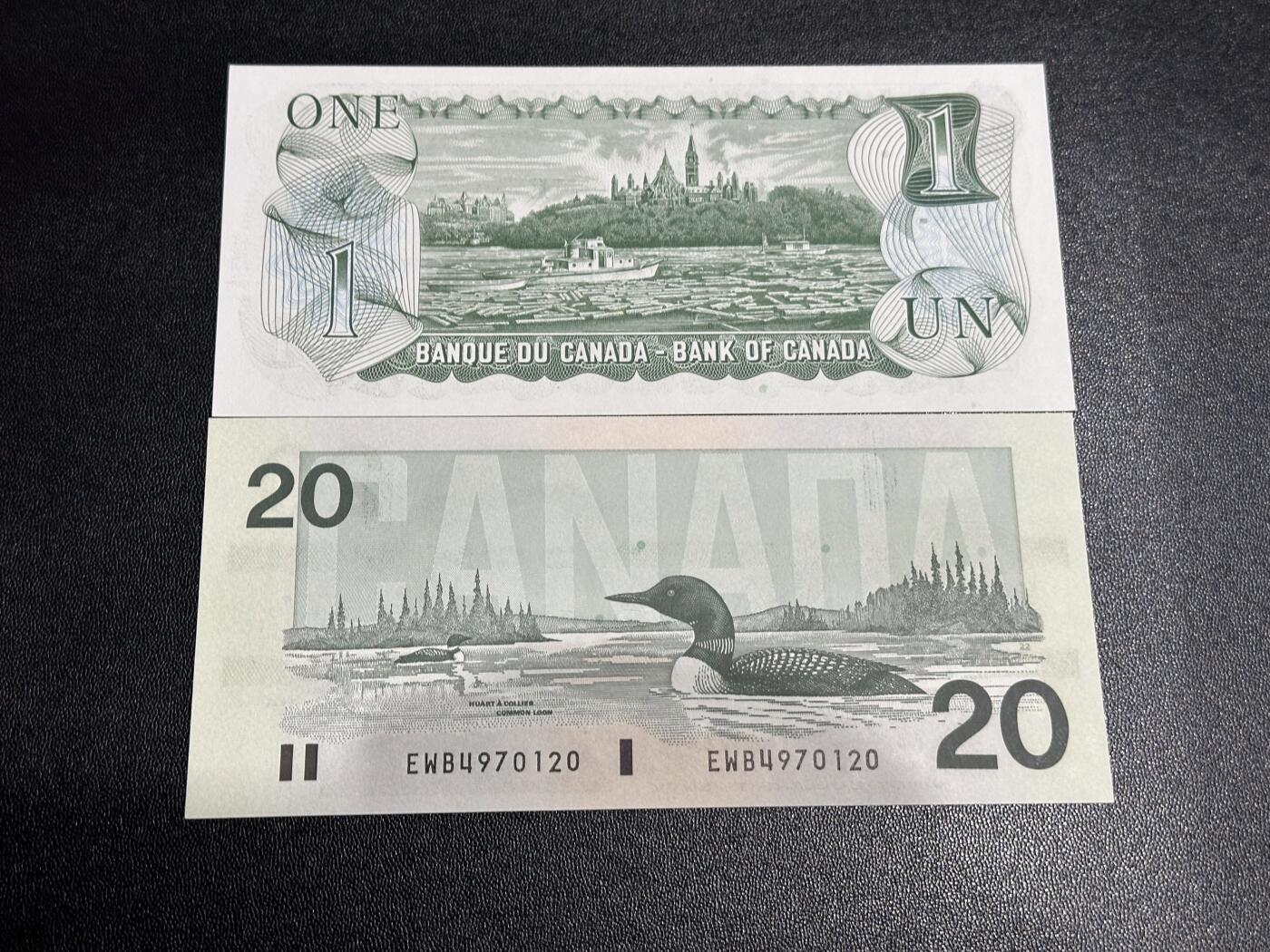 《外钞收藏家》第六百二十三期（精选场）（长期征集拍品、欢迎藏友们联系合作） 1973年加拿大1元+鸟版20元2张一起 全新UNC