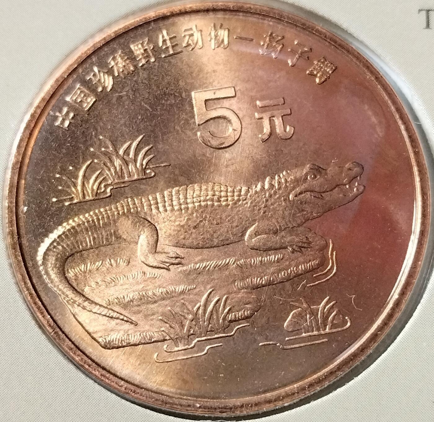 1998年珍惜野生动物扬子鳄纪念币，康银阁装帧，发行量60万枚，银行原封包拆绝品！按图发货！
