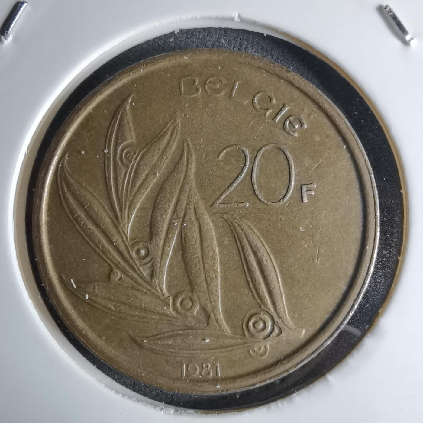 沼泽如烟--第1042场