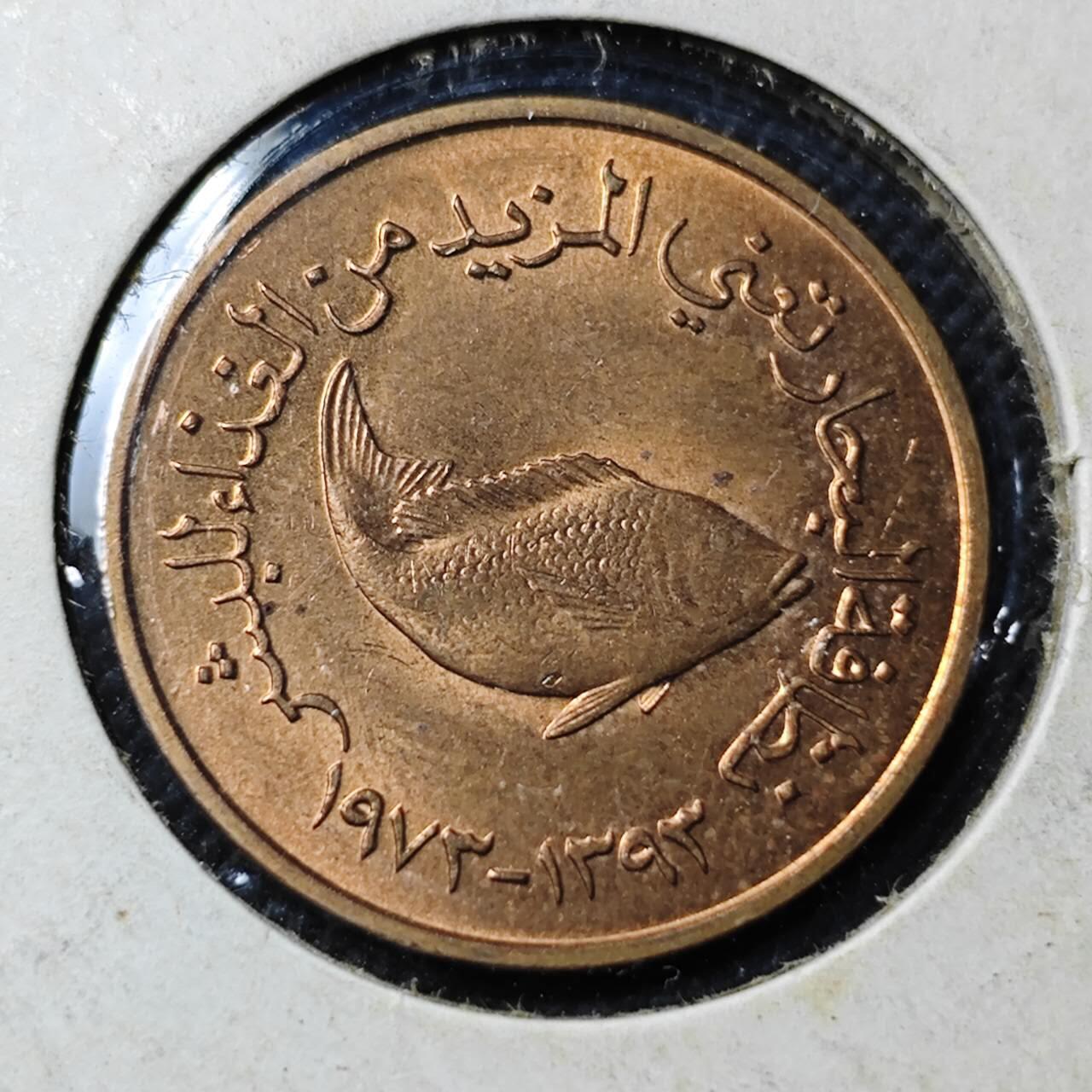 KK钱币收藏小铺  第414期 2月预留时间 周末发货 阿联酋5费尔 好品