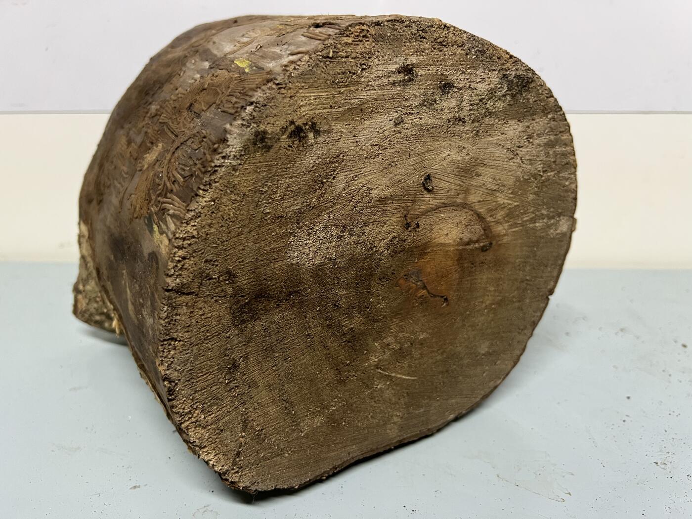 零元拍： 虫花金丝楠（无字天书） 原木 风水柱 横财（材）带皮， 这虫纹的金丝楠 大自然的鬼斧神工啊 画都画不出来，尺寸：47/10CM，抛光后金灿灿满香。