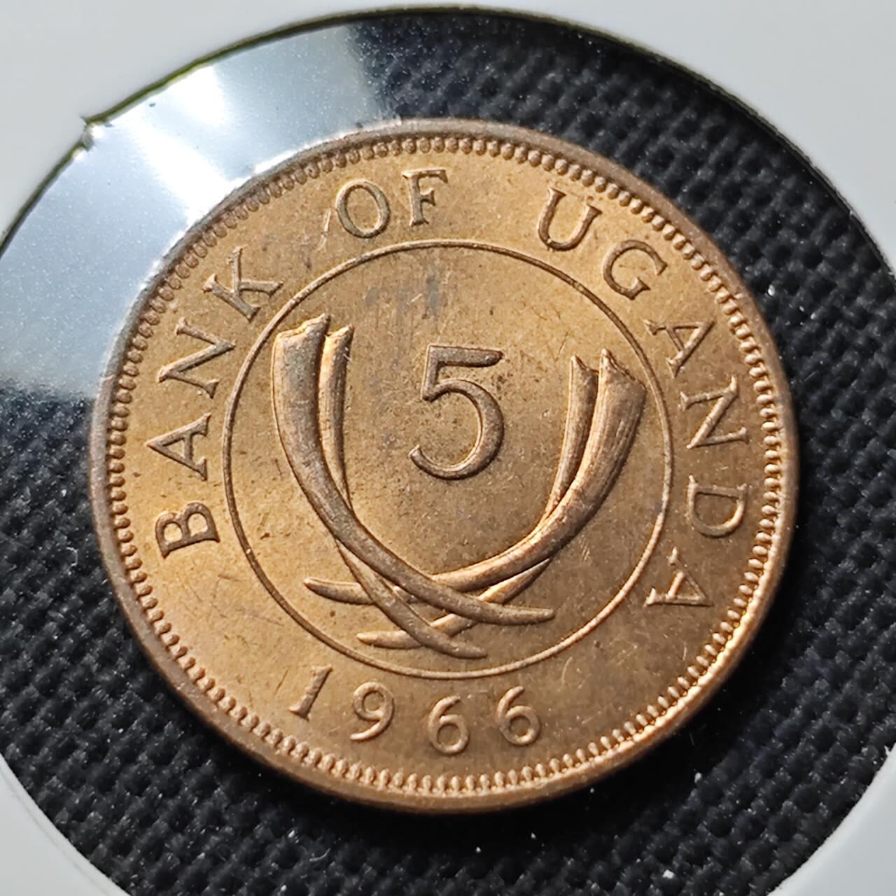 KK钱币收藏小铺  第414期 2月预留时间 周末发货  1966乌干达5分铜币