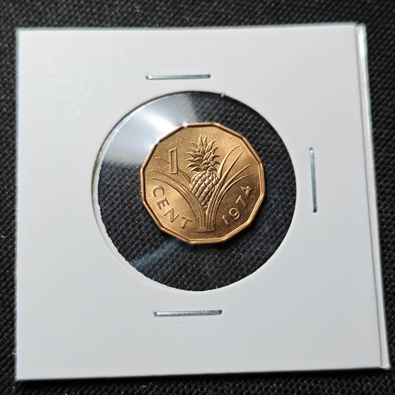 KK钱币收藏小铺  第414期 2月预留时间 周末发货 1974斯威士兰1分铜币 好品