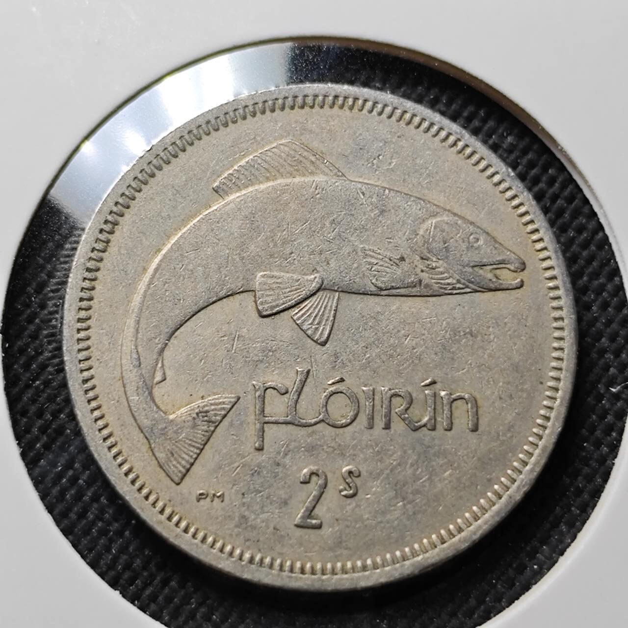 KK钱币收藏小铺  第414期 2月预留时间 周末发货  1964爱尔兰2先令