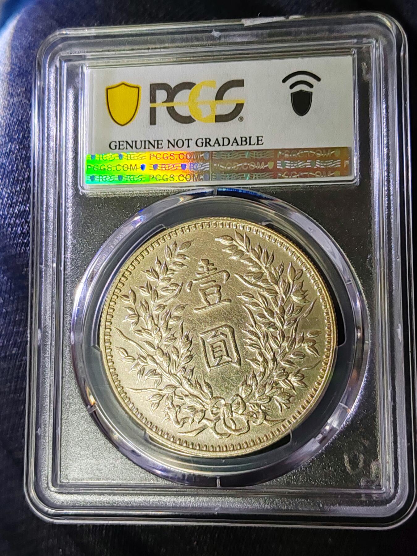 PCAU92甘肃刺猬头