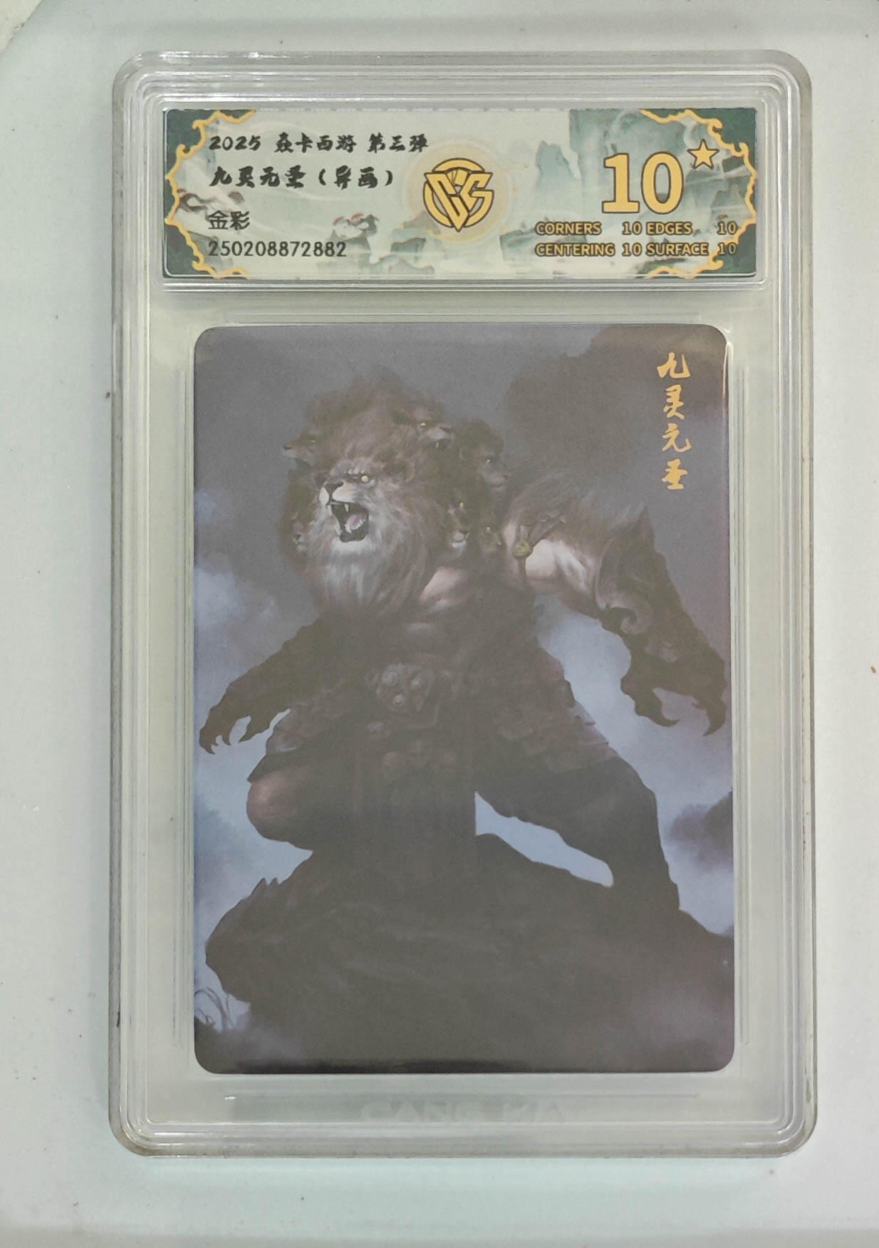 大麦马年第一场