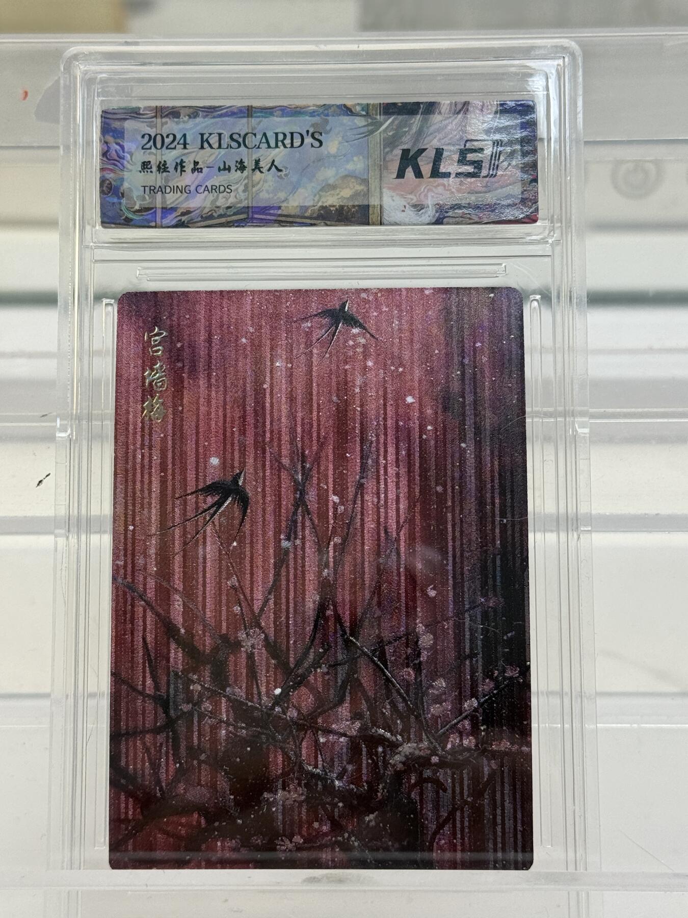 大麦马年第一场 卡联社  熙往作品 山海美人