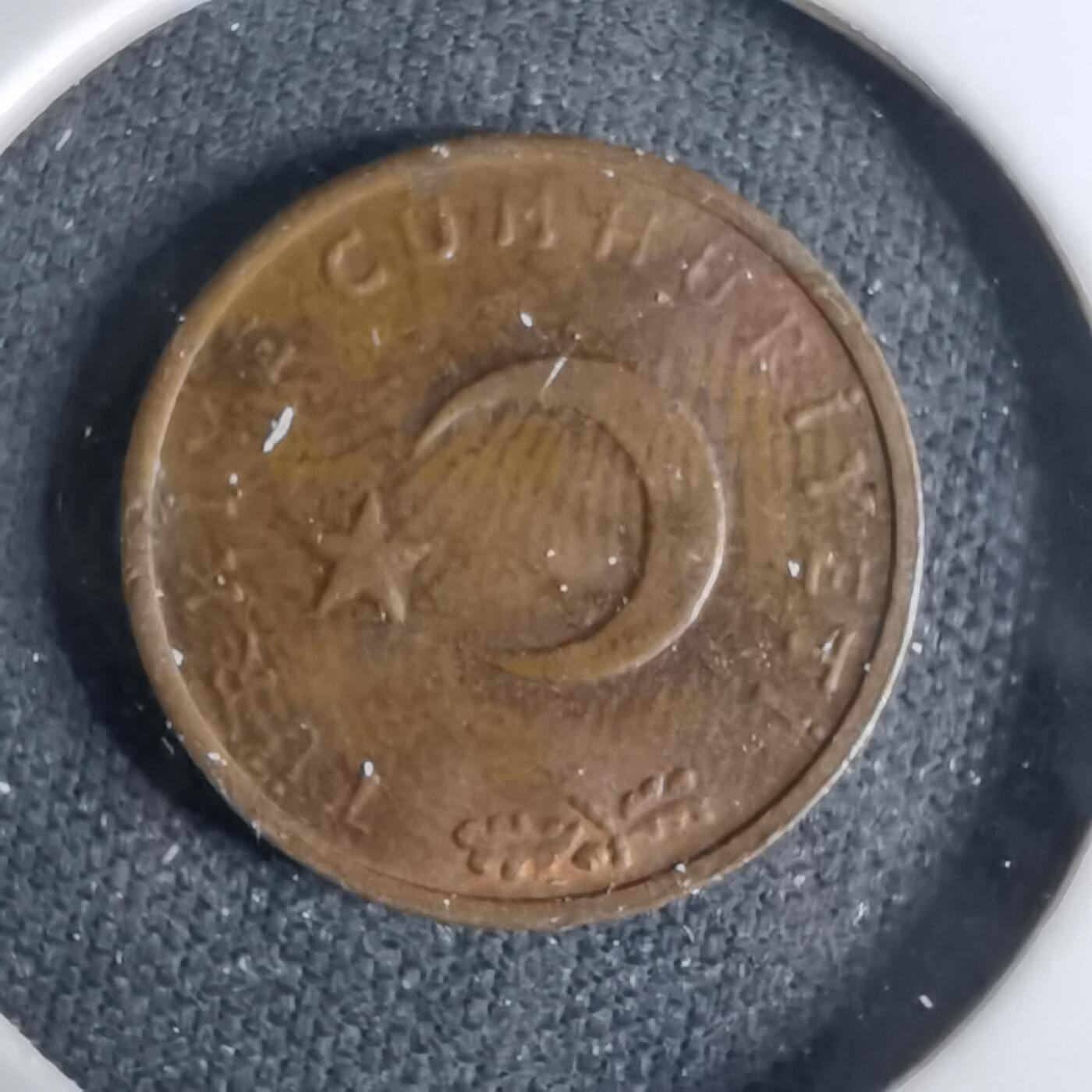 沼泽如烟--第1042场