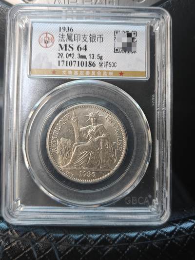 坐洋50C   - 坐洋50C  