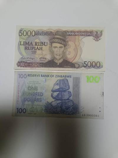 【20260402】非全新纸币和硬币第352场 - 外国2张纸币