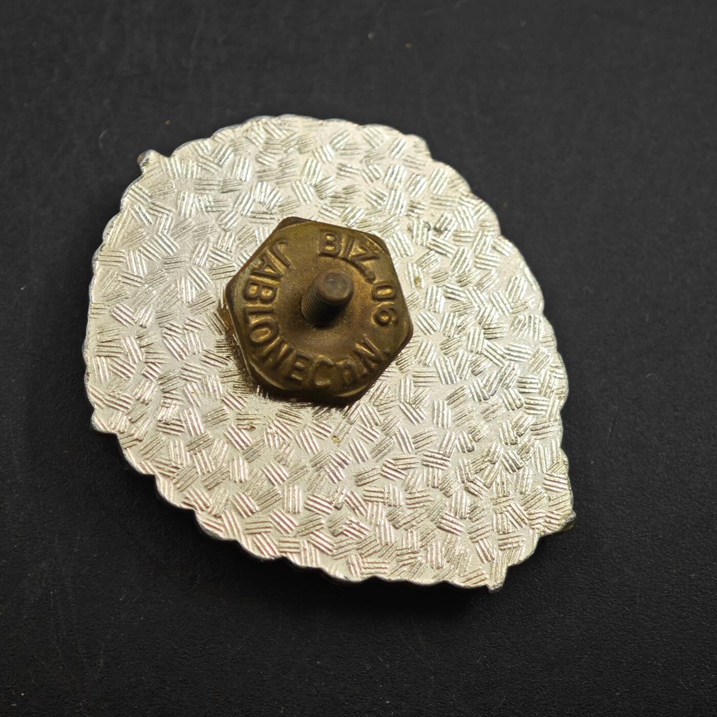 3月30日结束，成斌徽章钱币专场（ 捷克斯洛伐克模范士兵证章