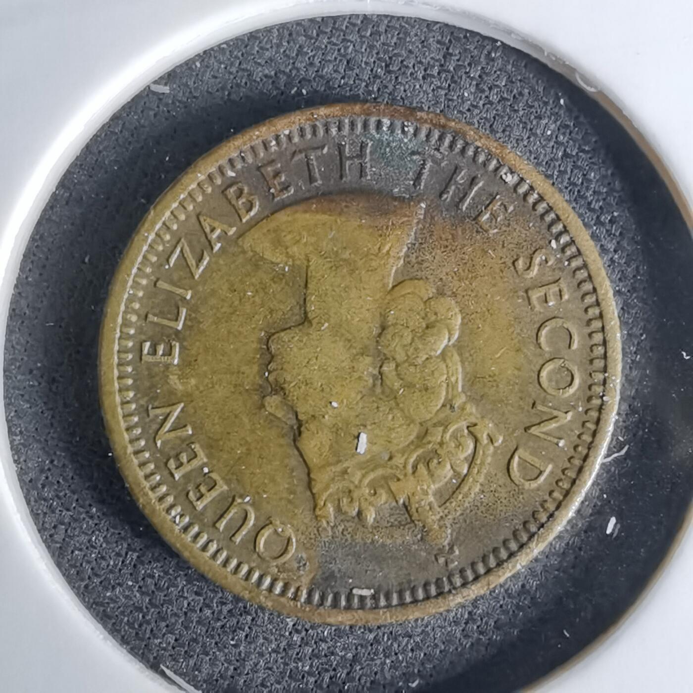 沼泽如烟--第1042场