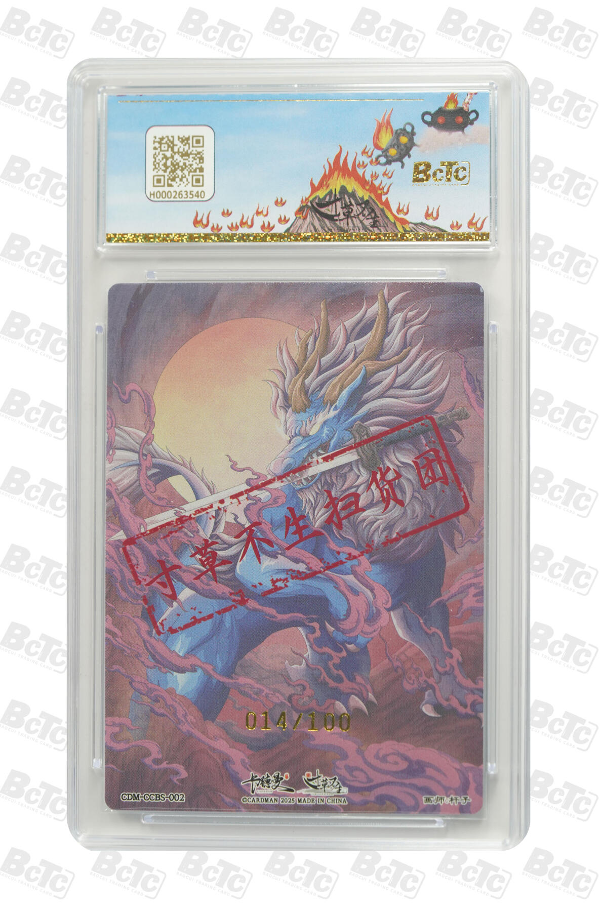 大麦马年第一场