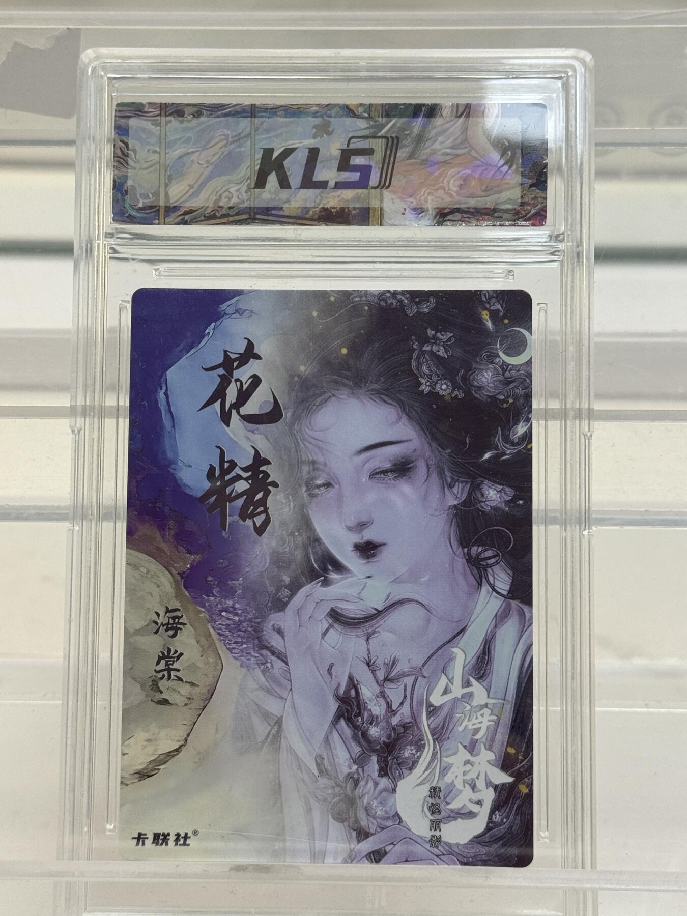 大麦马年第一场