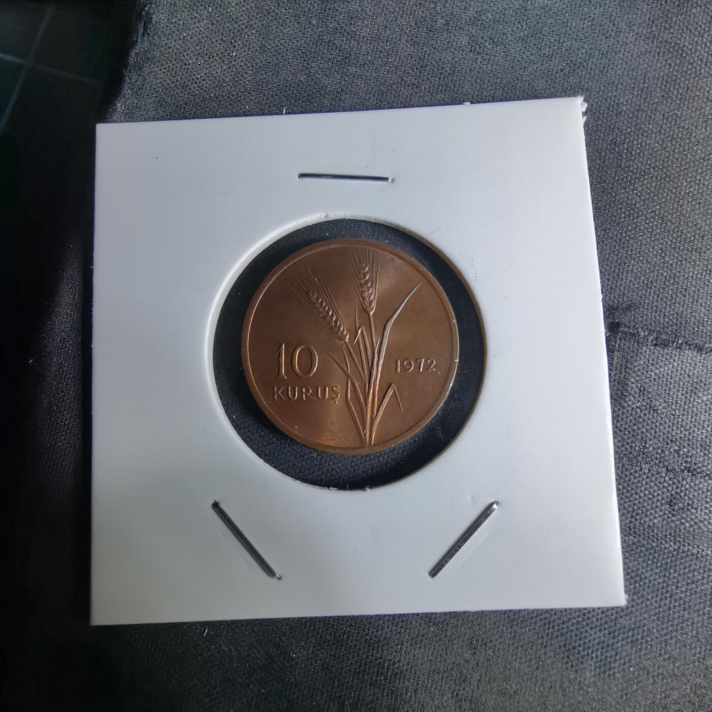 沼泽如烟--第1042场