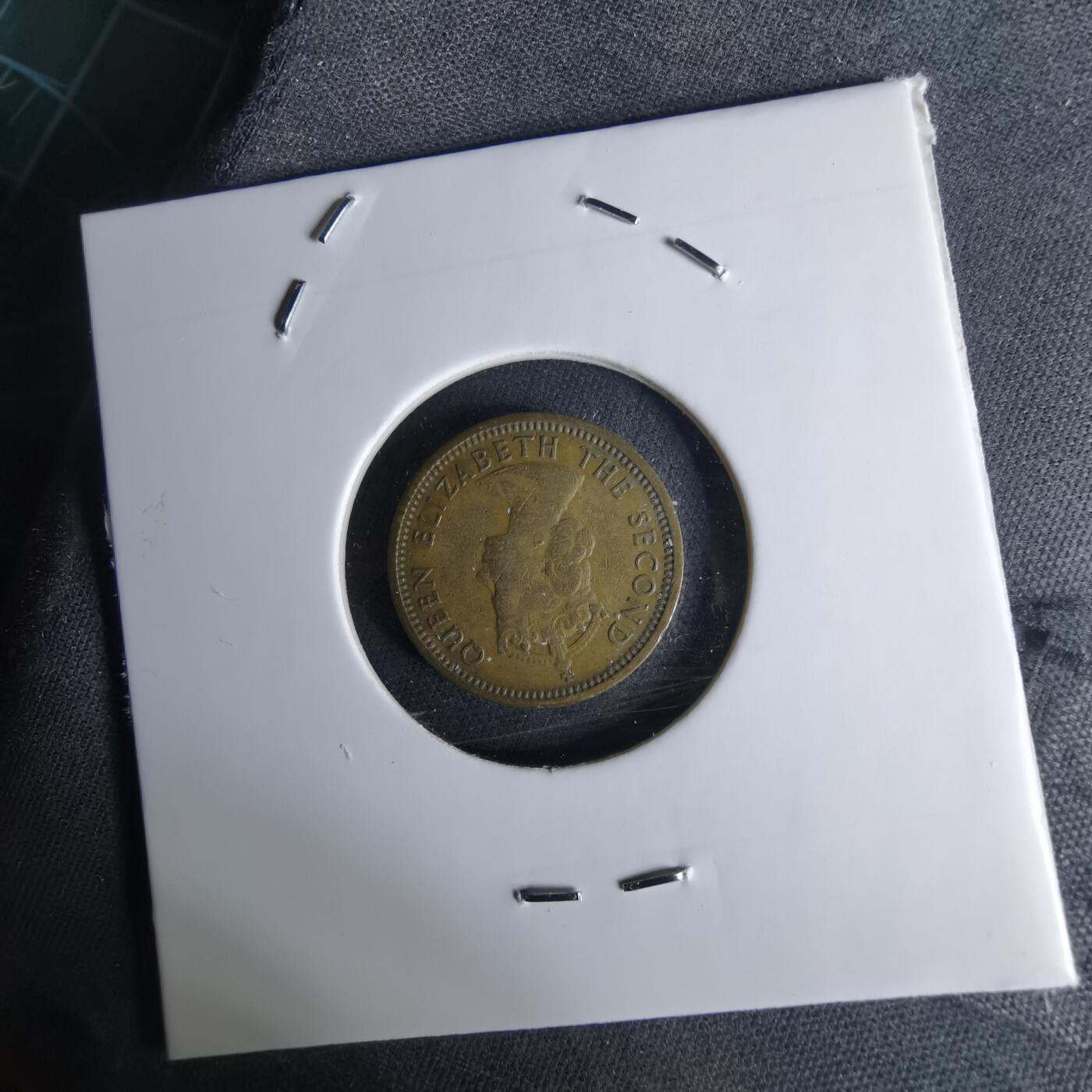 沼泽如烟--第1042场