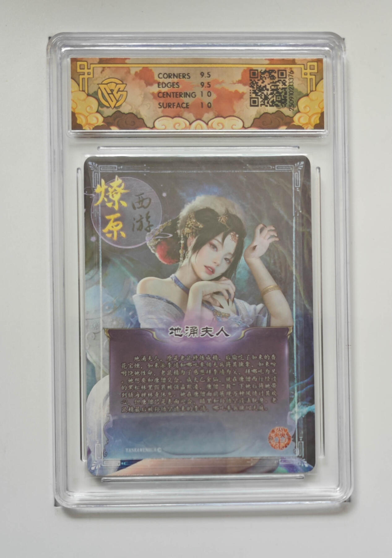 大麦马年第一场