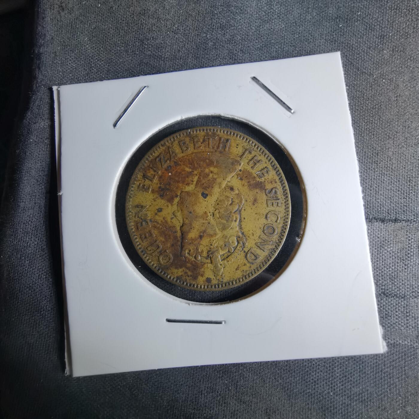 沼泽如烟--第1042场