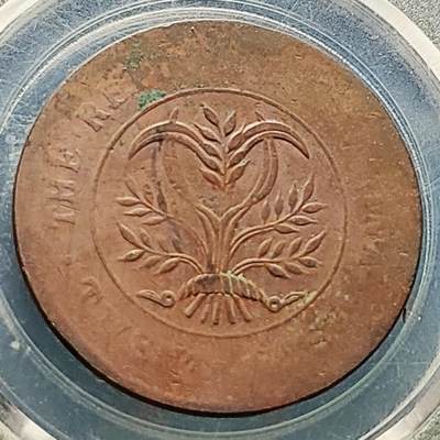 泉币菌-第219场-拍品多 请提前出价 - 湖南省造二十文铜元 嘉禾 32×1.5mm