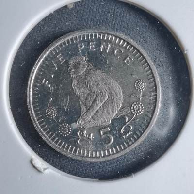 沼泽如烟--第1040场 - 直布罗陀2000年5便士