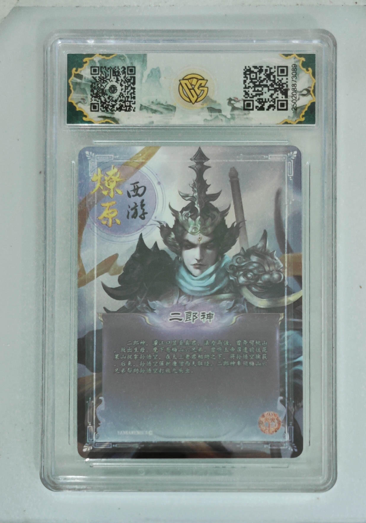 大麦马年第一场