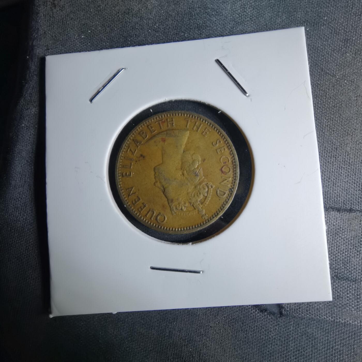 沼泽如烟--第1042场