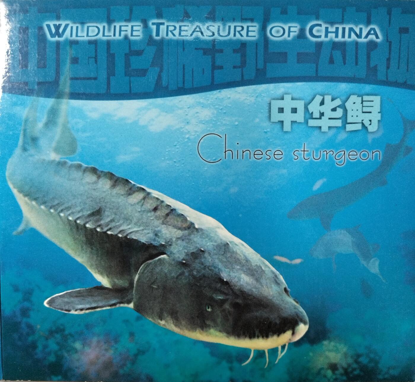 1999年中华鲟纪念币，紫铜合金，面值5元，直径32mm，重13.5g，沈阳造币厂，康银阁装帧，带证书，原装包装，品相几乎全新，币面字口清晰，保存很好。按图发货！