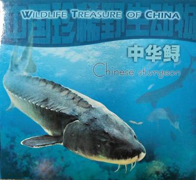 1999年中华鲟纪念币，紫铜合金，面值5元，直径32mm，重13.5g，沈阳造币厂，康银阁装帧，带证书，原装包装，品相几乎全新，币面字口清晰，保存很好。按图发货！ - 1999年中华鲟纪念币，紫铜合金，面值5元，直径32mm，重13.5g，沈阳造币厂，康银阁装帧，带证书，原装包装，品相几乎全新，币面字口清晰，保存很好。按图发货！