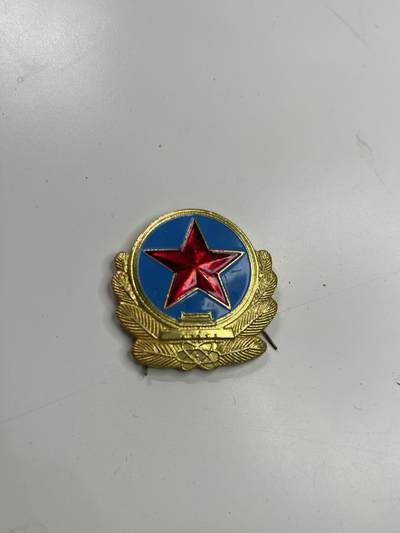 新时代收藏快速小拍 拍卖本周一线所得新货 4月2日场 - 科技单位帽徽