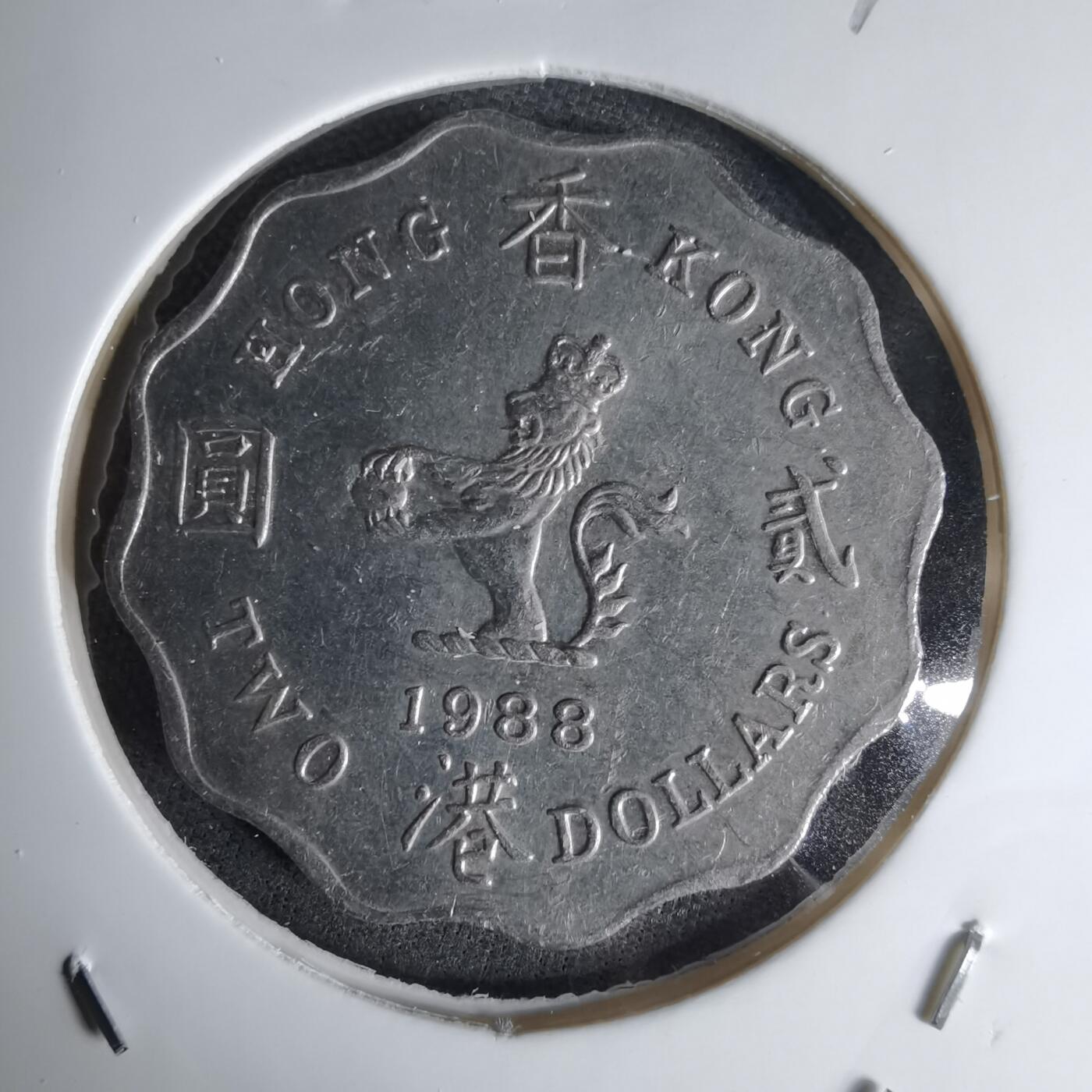 沼泽如烟--第1042场 香港1988年二元