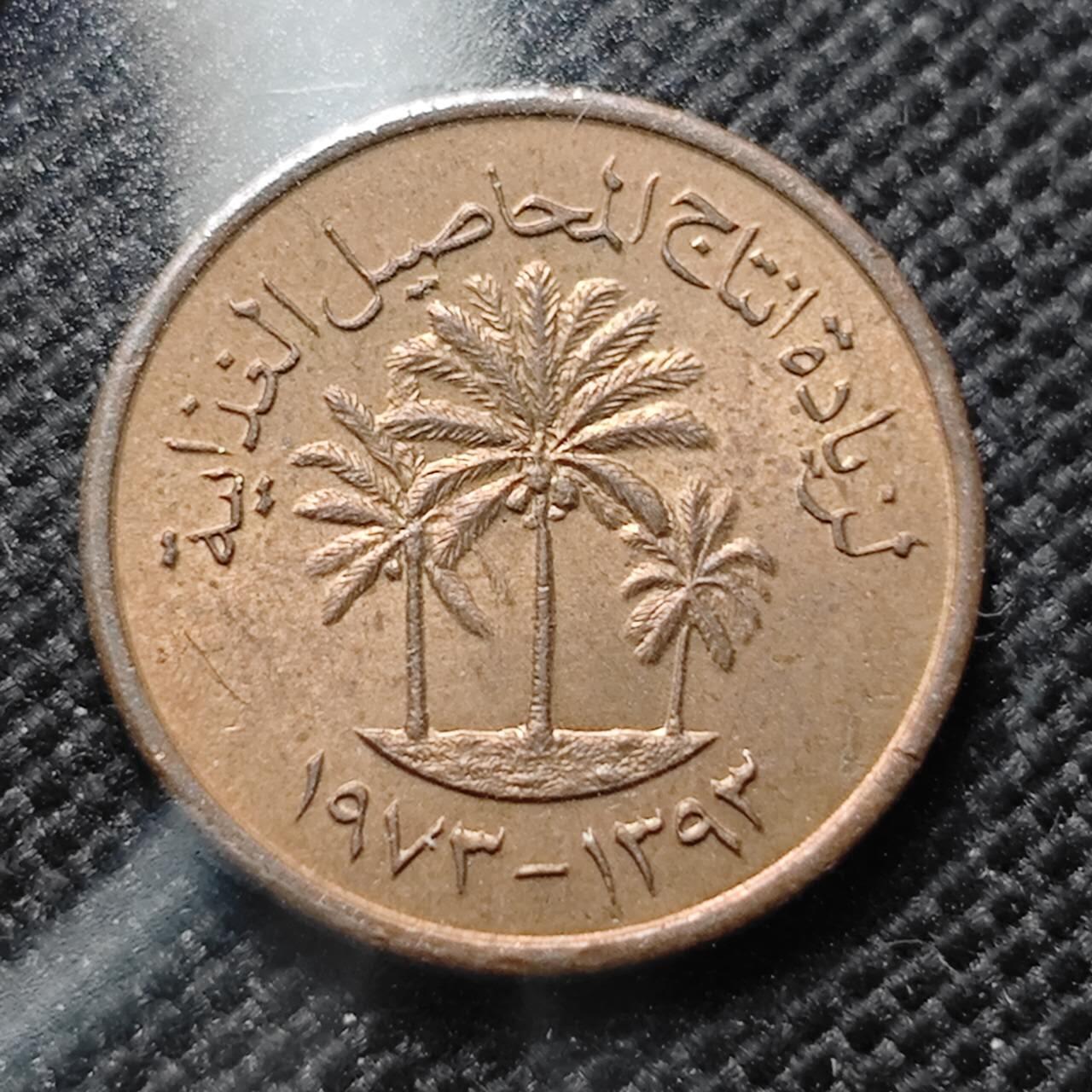 KK钱币收藏小铺  第414期 2月预留时间 周末发货 阿联酋1费尔 好品