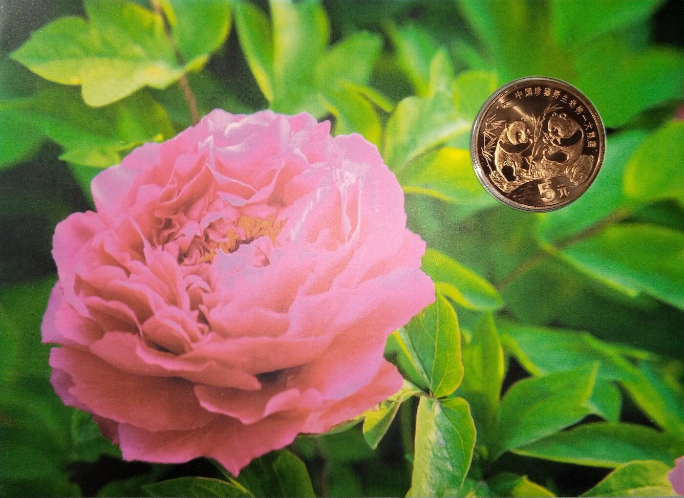 熊猫币四季纪念卡，1993年发行，原装证书+熊猫纪念币，品相几乎全新，保存很好，无白斑，重量13.5克，直径32mm，厚度2.2mm，红铜合金材质，面值5元。中国珍稀野生动物大熊猫纪念币，海外版装帧，发行量200万枚，牡丹、荷花、菊花、梅花四季主题，收藏价值高。按图发货！