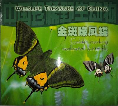 1999年金斑喙凤蝶纪念币卡册，中国人民银行发行，康银阁装帧，带证书，限量90万套，每套1枚。紫铜合金材质，面值5元，直径32mm，厚度2.2mm。蝴蝶图案清晰，品相几乎全新，币面干净，按图发货！ - 1999年金斑喙凤蝶纪念币卡册，中国人民银行发行，康银阁装帧，带证书，限量90万套，每套1枚。紫铜合金材质，面值5元，直径32mm，厚度2.2mm。蝴蝶图案清晰，品相几乎全新，币面干净，按图发货！
