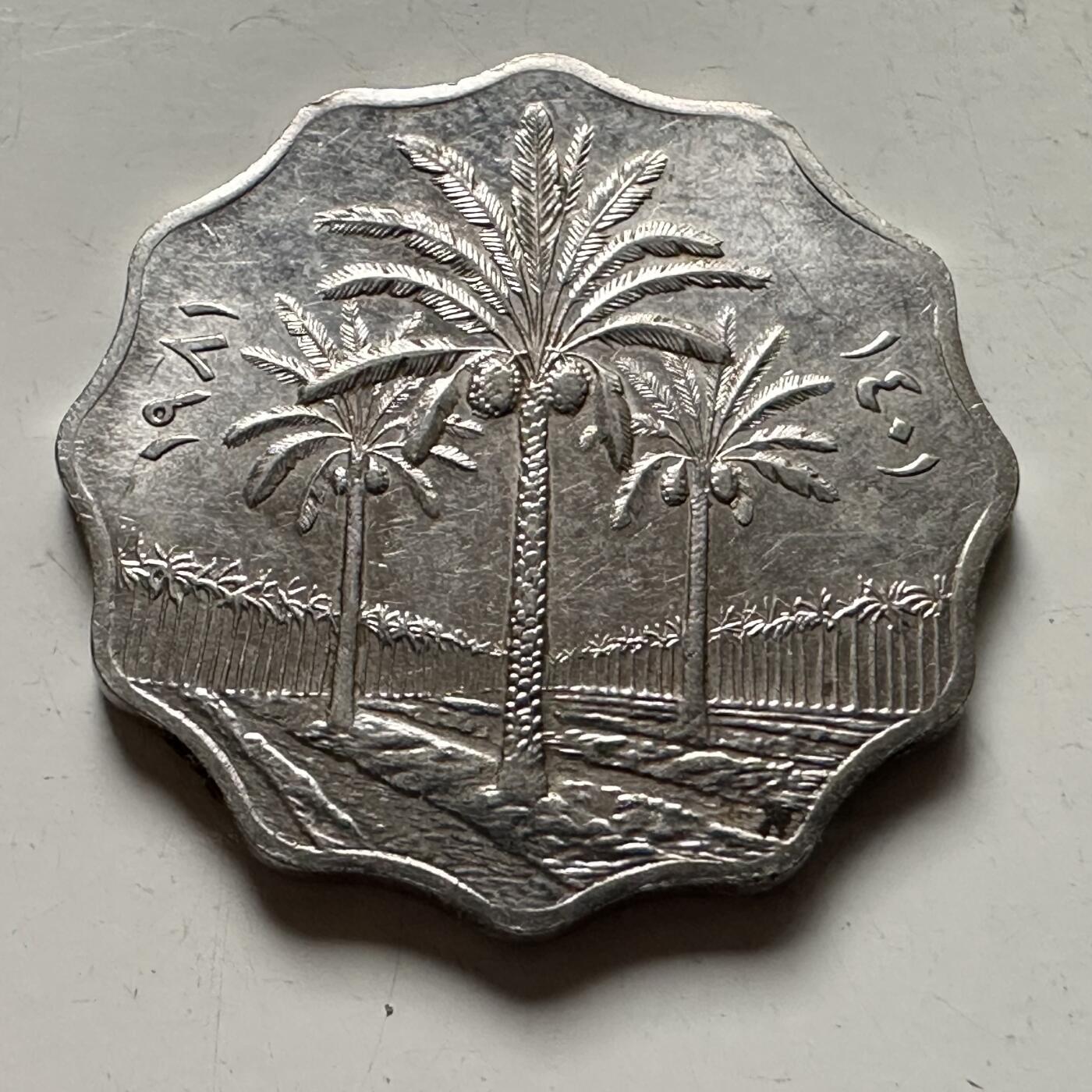 🌹外币初藏🌹🐯2026年第36场   每周二四六晚8️⃣点 接代拍 伊拉克 1981年 10费尔