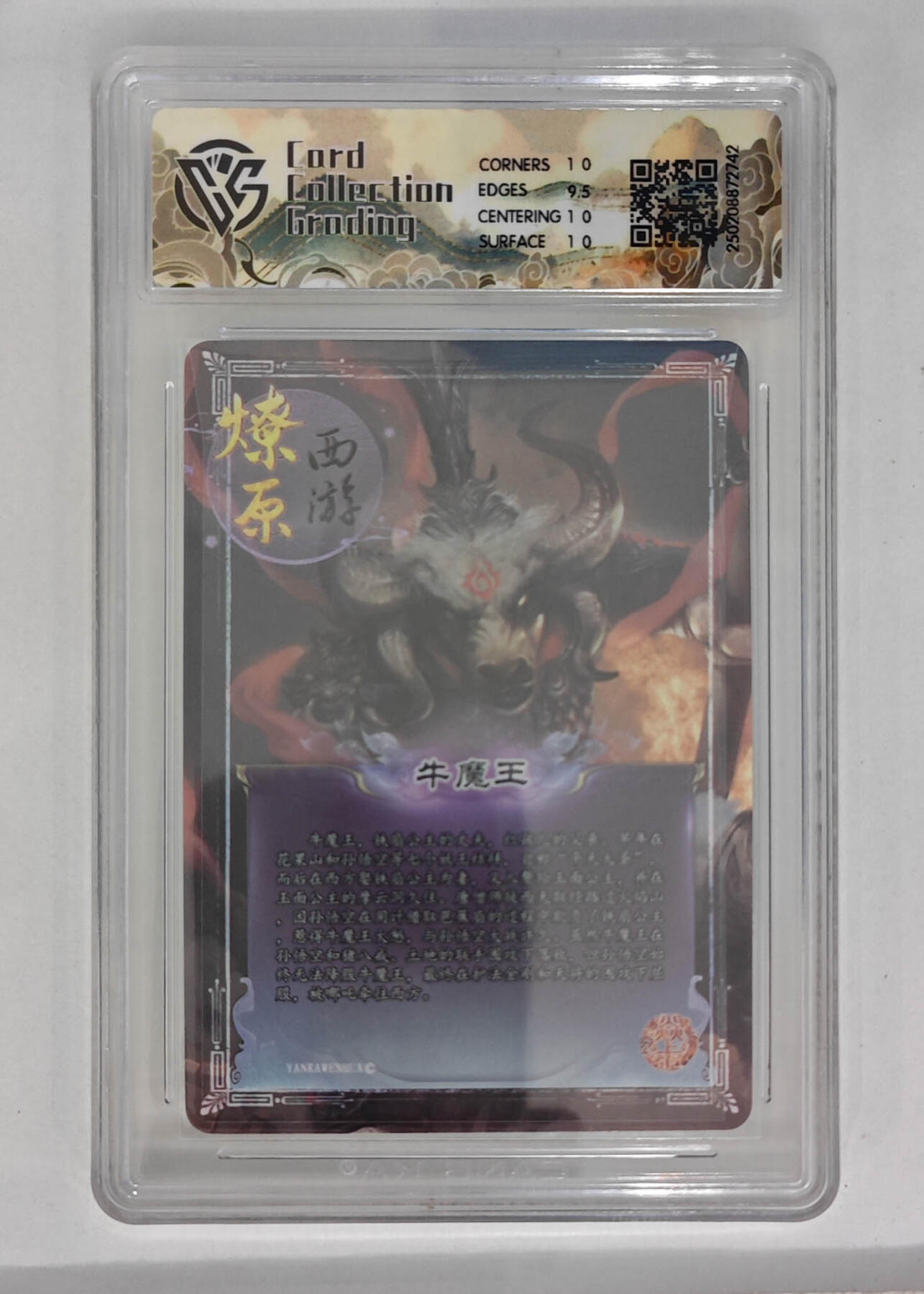 大麦马年第一场