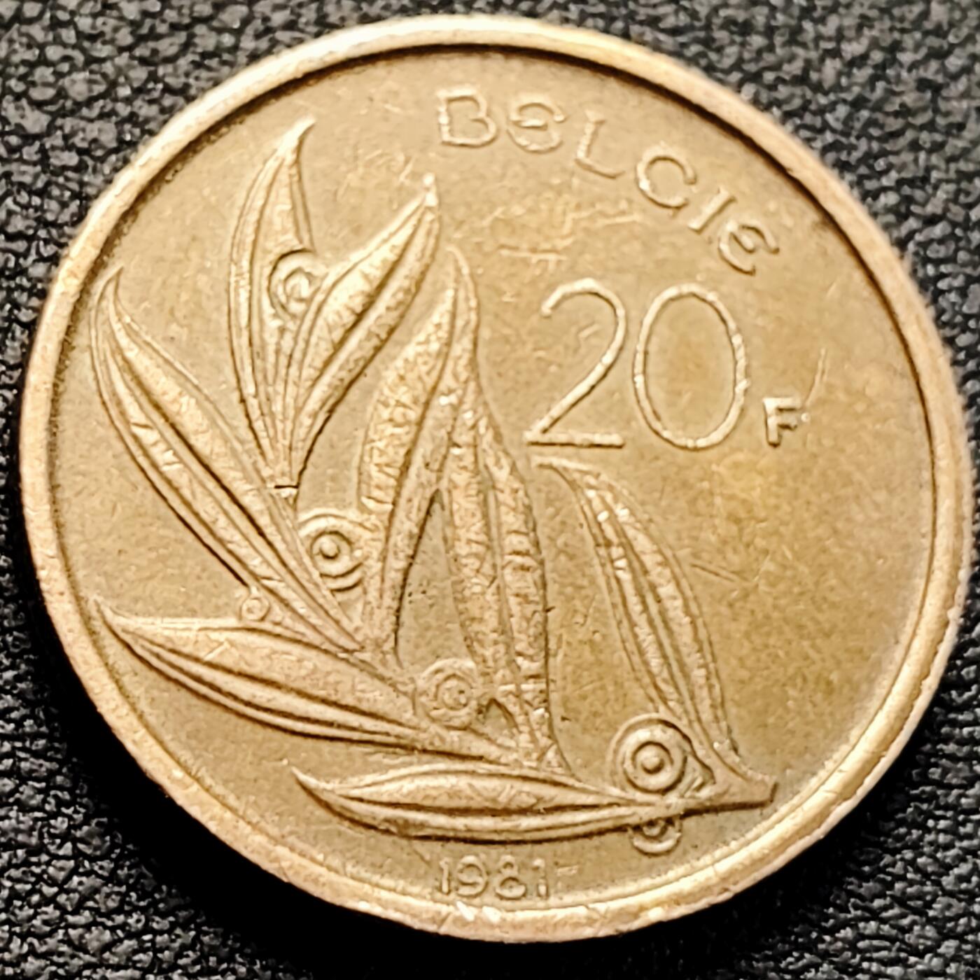 泉币菌-第219场-拍品多 请提前出价 。