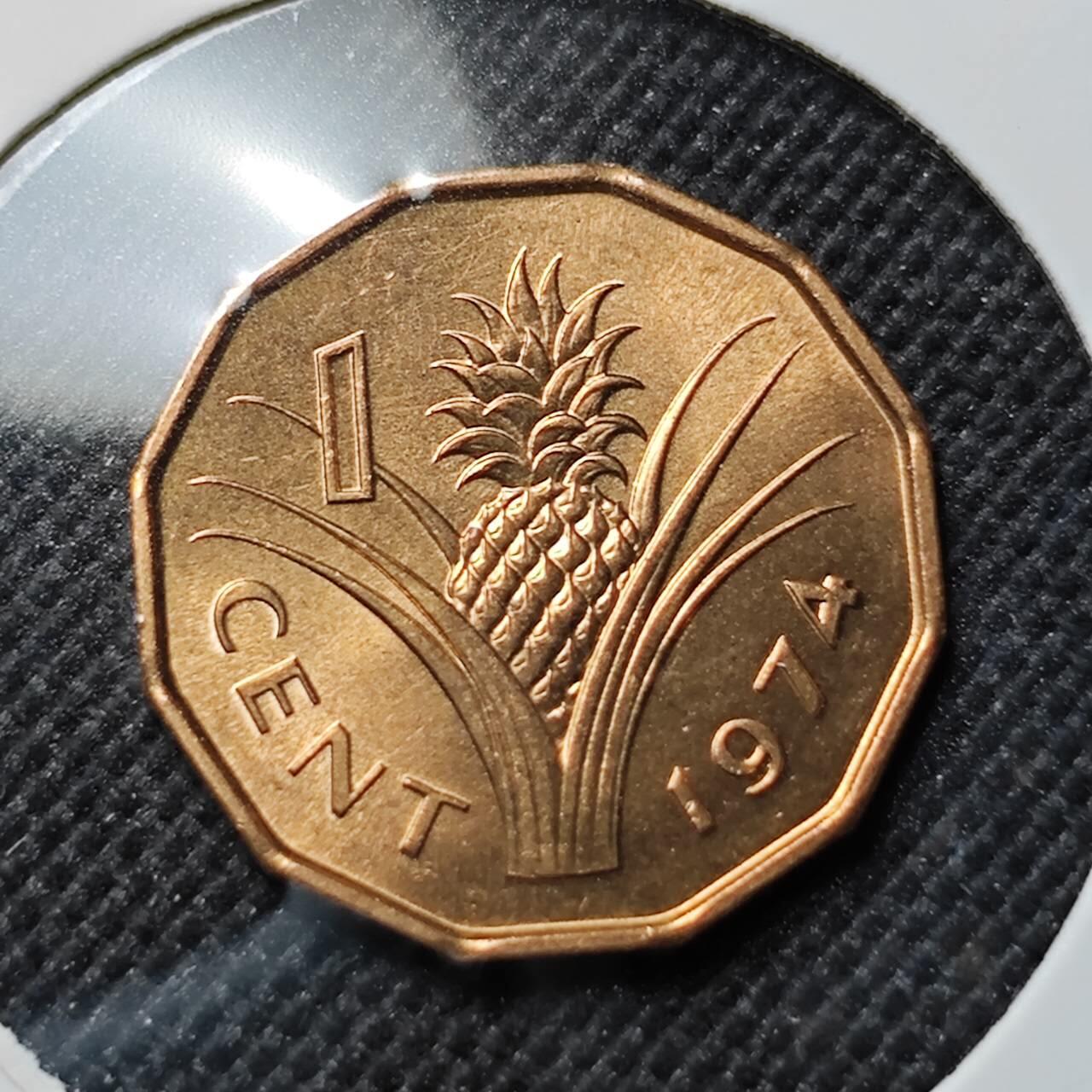 KK钱币收藏小铺  第414期 2月预留时间 周末发货 1974斯威士兰1分铜币 好品